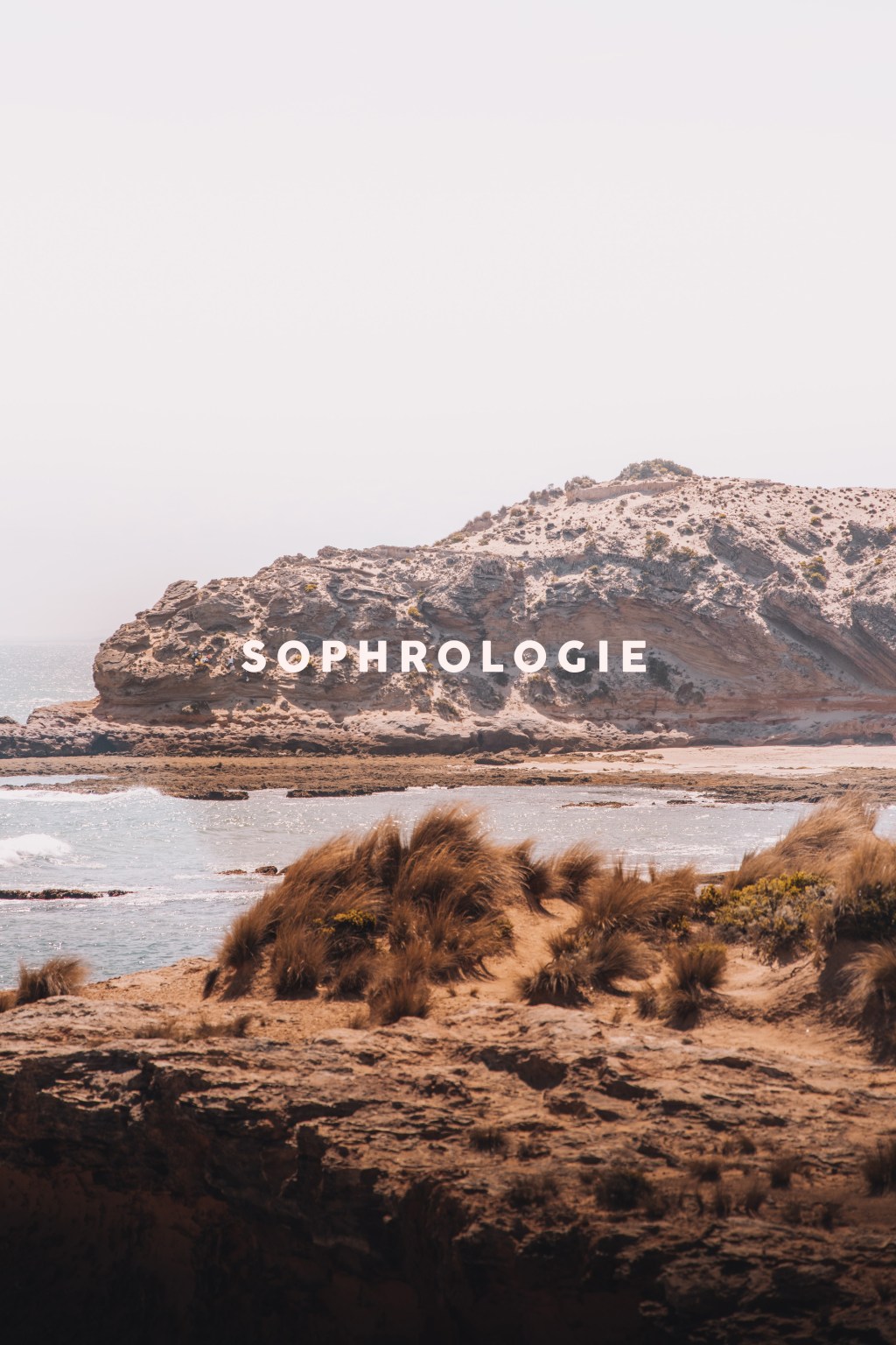 Article sans titre 21